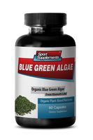 Immune Assist Critical Care - Blue Green Algae - Natural NUTRIENTS - from Klamath Lake - Blue Green Algae Bulk - 1 Bottle (60 Capsules)
