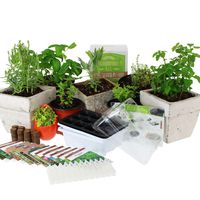 Culinary Indoor Herb Garden Starter Kit | Deluxe Herb Seeds | 12 Non-GMO Varieties | Grow Cooking Herbs & Spices | Seeds: Cilantro, Arugula, Thyme, Sage, Chives, Dill, Basil, More