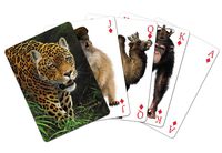 Tree-Free Greetings Standard Playing Card Deck, Classic Collection Jaguar Themed Wildlife Art (49711)