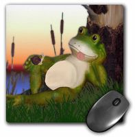 3dRose LLC 8 X 8 X 0.25 Inches The Frog and The Snail Mouse Pad (mp_28288_1)