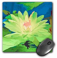 3dRose LLC 8 X 8 X 0.25 Inches Mouse Pad, Decorative Colorful Garden Botanic Plant Water Lily Green Gold Flower Abstract Pastel (mp_32403_1)