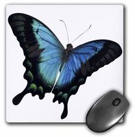 3dRose LLC 8 x 8 x 0.25 Inches Mouse Pad, Blue and Aqua Butterfly (mp_37351_1)