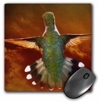 3Drose 8 X 8 X 0.25 Inches Mouse Pad Leaving for Home - End of Hummingbird Season (mp_53841_1)