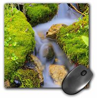 3dRose LLC 8 x 8 x 0.25 Inches Mouse Pad, Spring Fed Mountain Stream (mp_36358_1)