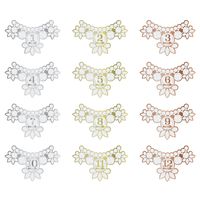 Pearhead Baby's Monthly Milestone Necklace Photo Sharing Prop Stickers