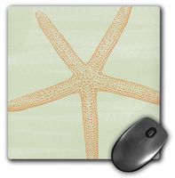 3dRose Orange Starfish - Beach Themed Art - Mouse Pad, 8 by 8" (mp_63641_1)