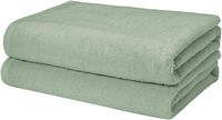 AmazonBasics Quick-Dry Bath Towels, 100% Cotton, Set of 2, Seafoam Green