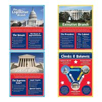 Branches of Government Posters(4 Piece Set) Checks & Balances, Legislative, Executive and Judicial Classroom Decor