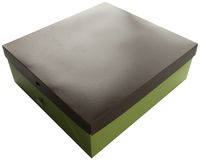 Storage Solutions Photo Organizer, Green