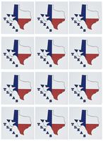 3dRose Set of 12 Greeting Cards, Texas state Flag in Outline Map (gc_58725_2)
