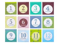 Baby Monthly and Holiday Milestone Stickers 12PCS