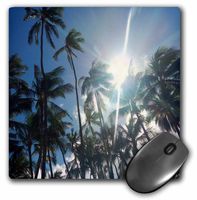 3dRose LLC LLC 8 x 8 x 0.25 Inches Mouse Pad, Coconut Palm Trees of Hawaii (mp_107114_1)