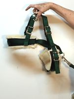 Goat Pulling Harness with Tugs Pulling Carts, Wagons Brush Work (Pygmy, Blue)