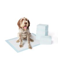AmazonBasics Extra-Large Pet Dog and Puppy Training Pads - Pack of 60
