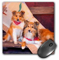 3dRose Shetland Sheepdogs on a buckboard, MR - Mouse Pad, 8 by 8 inches (mp_209140_1)