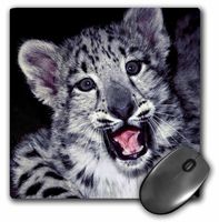 3dRose LLC 8 x 8 x 0.25 Inches California Snow Leopard at Wildlife Way Station Jaynes Gallery Mouse Pad (mp_88194_1)