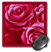 3dRose Close Up of Dreamy Lipstick Pink Rose Bouquet Mouse Pad (mp_29825_1)