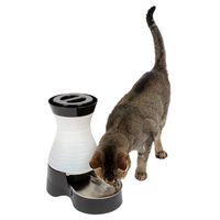 PetSafe Healthy Pet Water Station, Dog and Cat Water System with Stainless Steel Bowl, Small, 64 oz.