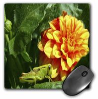3dRose LLC 8 x 8 x 0.25 Inches Dahlia Flower and Grasshopper Photography Flowers Mouse Pad (mp_6624_1)