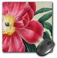 3dRose LLC 8 X 8 X 0.25 Inches Vintage Peony Floral - Red Flowers Mouse Pad (mp_79190_1)