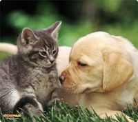 WOW!PAD 7.5" x 8.5" Puppies & Kittens Mouse Pad (78PK98-001)