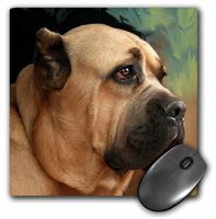 3dRose LLC 8 x 8 x 0.25 Inches Mouse Pad, Cane Corso (mp_4486_1)