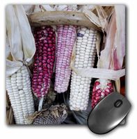 3dRose LLC 8 x 8 x 0.25 Inches Mouse Pad, Ornamental Dried Corn, Julien McRoberts (mp_92719_1)