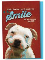 Tree-Free Greetings EcoNotes 12-Count Notecard Set With Envelopes, 4 x 6 Inches, Bulldog Smiles Themed Pet Lover Cute Dog Art (56166)