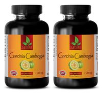 Natural Fat Burner for Women no Caffeine - Garcinia CAMBOJIA Extract 1300mg - Garcinia cambogia Extract to Burn Belly Fat - 2 Bottles 120 Capsules