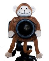 Shutter Huggers Monkey Shutter Hugger MON001