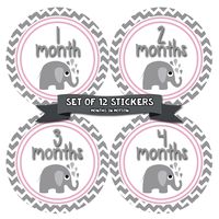 Months in Motion Baby Monthly Stickers - Baby Milestone Stickers - Newborn Girl Stickers - Month Stickers for Baby Girl - Baby Girl Stickers - Newborn Monthly Milestone Stickers - Style 380