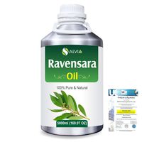 Ravensara (Ravensara Aromatic) Pure Natural Aromatherapy Therapeutic Uncut Undiluted Essential Oil 5000ml/169 fl. oz. Express Shipping