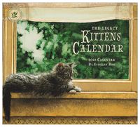 2019 Wall Calendar, Kittens Calendar