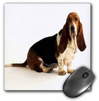 3D Rose"Handsome Basset Hound" Matte Finish Mouse Pad - 8 x 8" - mp_80272_1