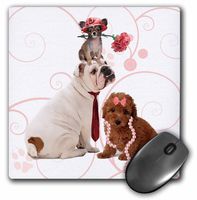 3dRose 8 x 8 x 0.25 Inches Mouse Pad, Bulldog in Necktie, Papillion Dog in Pink Hat and Terrier in Pearls (mp_127599_1)
