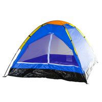 2-Person Tent, Dome Tents for Camping with Carry Bag by Wakeman Outdoors (Camping Gear for Hiking, Backpacking, and Traveling) - BLUE