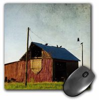 3Drose LLC 8 X 8 X 0.25 Inches Mouse Pad, The Barn and The Vultures by Angelandspot (Mp_108217_1)