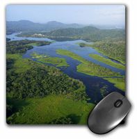 3dRose LLC 8 x 8 x 0.25 Tropical Lowland Forest Soberania NP Panama Christian Ziegler Mouse Pad (mp_86919_1)