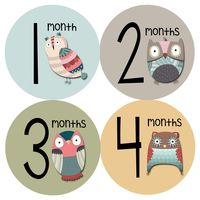 Months In Motion Gender Neutral Monthly Baby Milestone Stickers - Onesie Month Sticker - Infant Photo Prop for First Year - Shower Gift - Newborn Keepsakes - Unisex Boy or Girl - Animals Owl