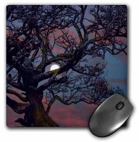 3dRose LLC 8 x 8 x 0.25 Inches Memory of The Moon Mouse Pad (mp_13730_1)