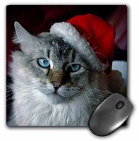 3dRose LLC 8 x 8 x 0.25 Inches Christmas Cat Mouse Pad (mp_4576_1)