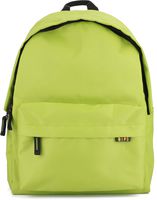 QIPS by HMI 21 ltrs 16 Inch Classic Laptop Backpack with YKK Zippers (Green)