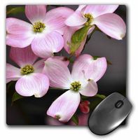 3dRose Pink Dogwood Flowers, Spring Photography Mouse Pad (mp_50601_1)