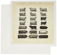 3dRose Vintage Pigs n Sheep - Greeting Cards, 6 x 6 inches, set of 6 (gc_80428_1)