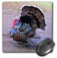 3dRose 8 x 8 x 0.25 Inches Wild Turkey Mouse Pad (mp_4042_1)