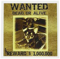 3dRose Wanted Dead or Alive Chihuahua - Greeting Cards, 6 x 6 inches, set of 12 (gc_51617_2)