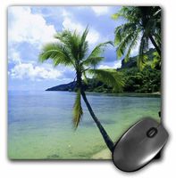 3dRose LLC 8 x 8 x 0.25 Inches Mouse Pad, Tropical Paradise (mp_1205_1)