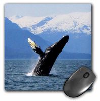 3drose Humpback Whale Tosses and Turns in The Lynn Canal Southeastern Alaska - Mouse Pad