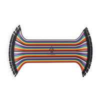 GenBasic 40 Piece Female to Male Jumper Wires (8 Inch)