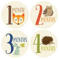 Fox, Monthly Baby Sticker, Woodland, Baby Gift, Baby Boy